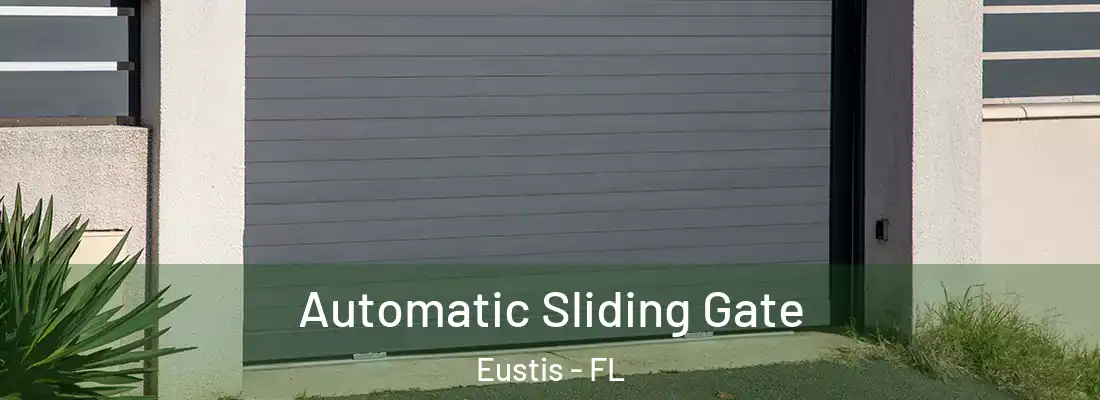 Automatic Sliding Gate Eustis - FL