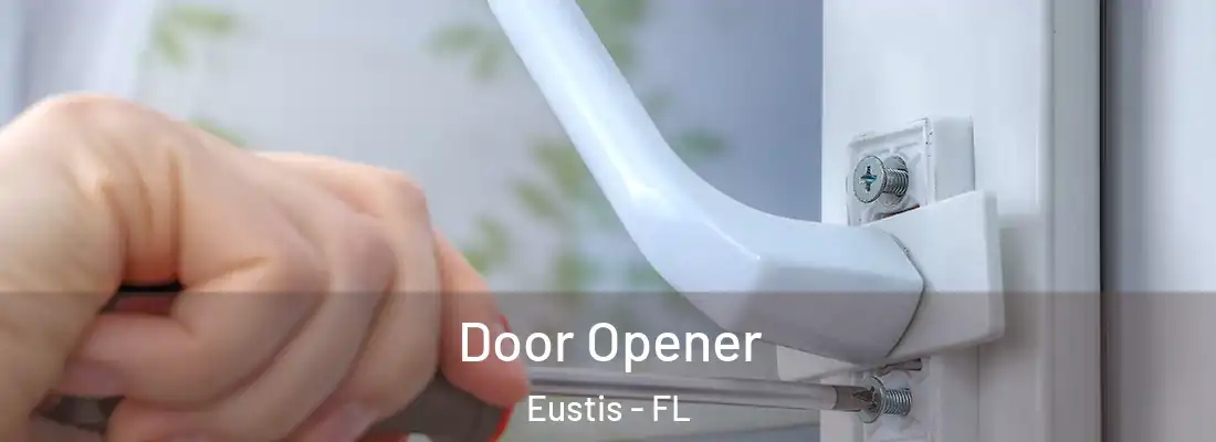  Door Opener Eustis - FL