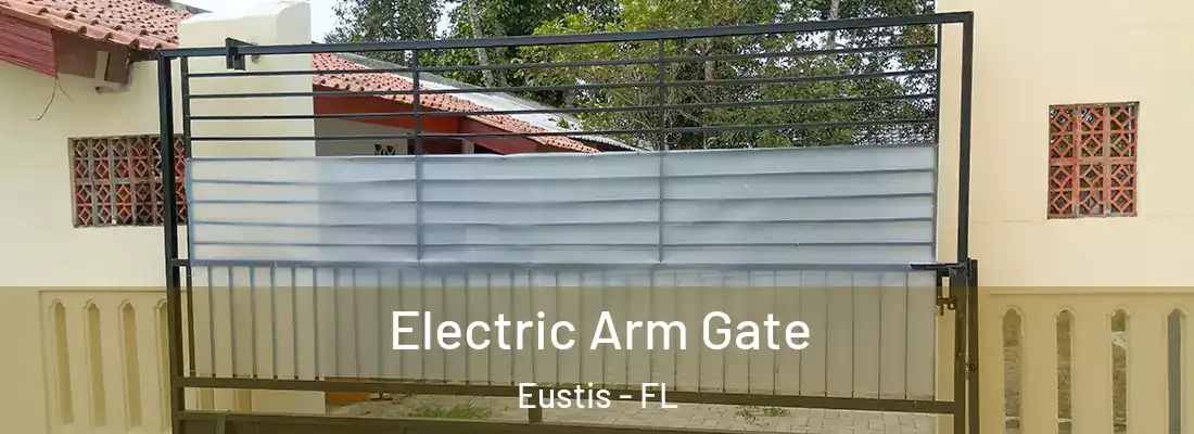  Electric Arm Gate Eustis - FL