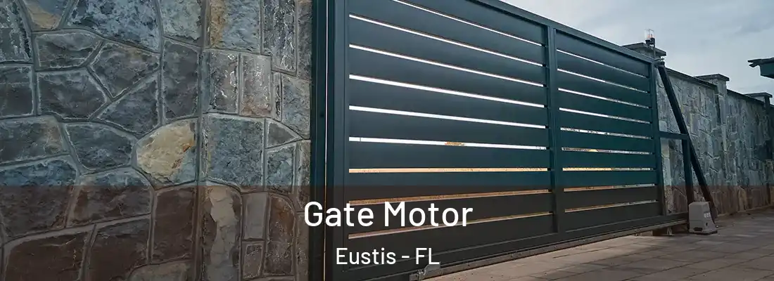  Gate Motor Eustis - FL