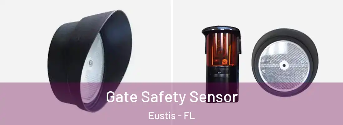  Gate Safety Sensor Eustis - FL