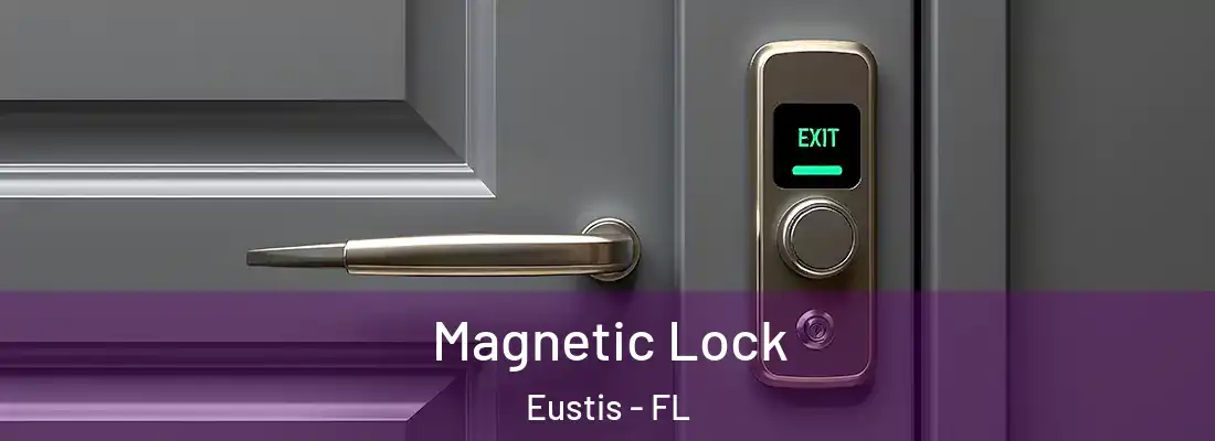  Magnetic Lock Eustis - FL