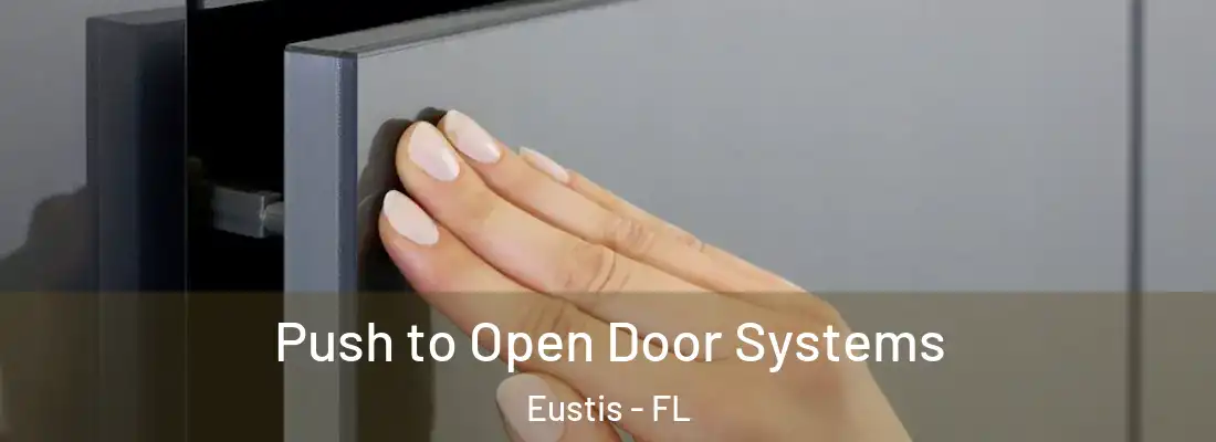 Push to Open Door Systems Eustis - FL