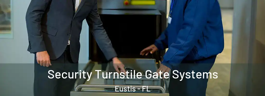  Security Turnstile Gate Systems Eustis - FL